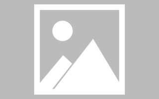 百色新区景区网站建设（in art criticism,you must assume）
